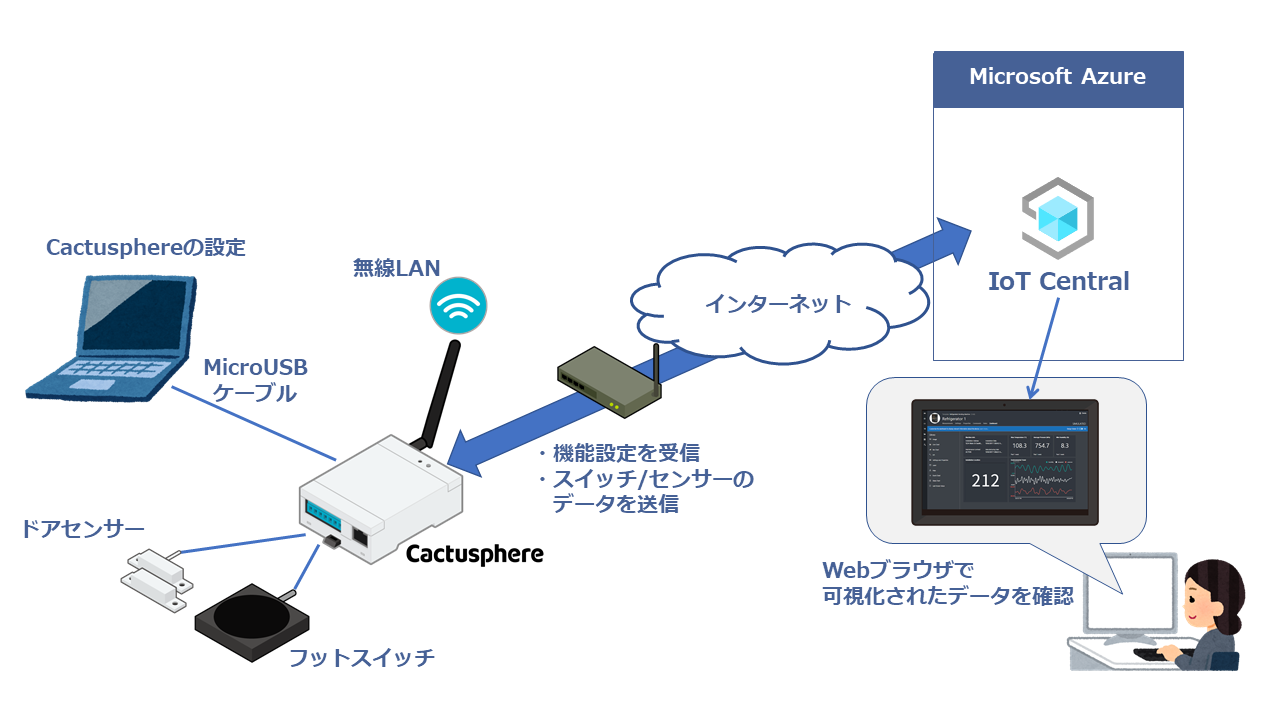 Cactusphere_hands_on_sys